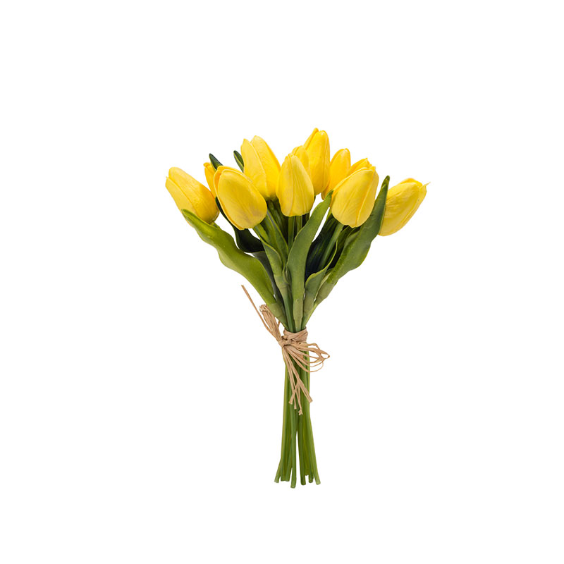 Hoa Tulip ( CH0656-Y )  321.000