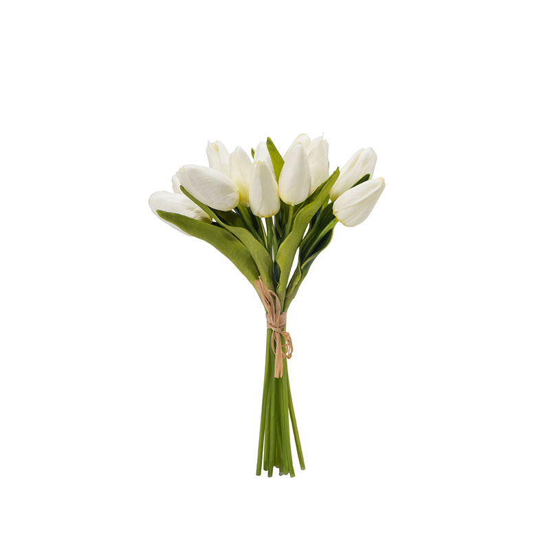 Hoa Tulip ( Ch0656-W )  321.000