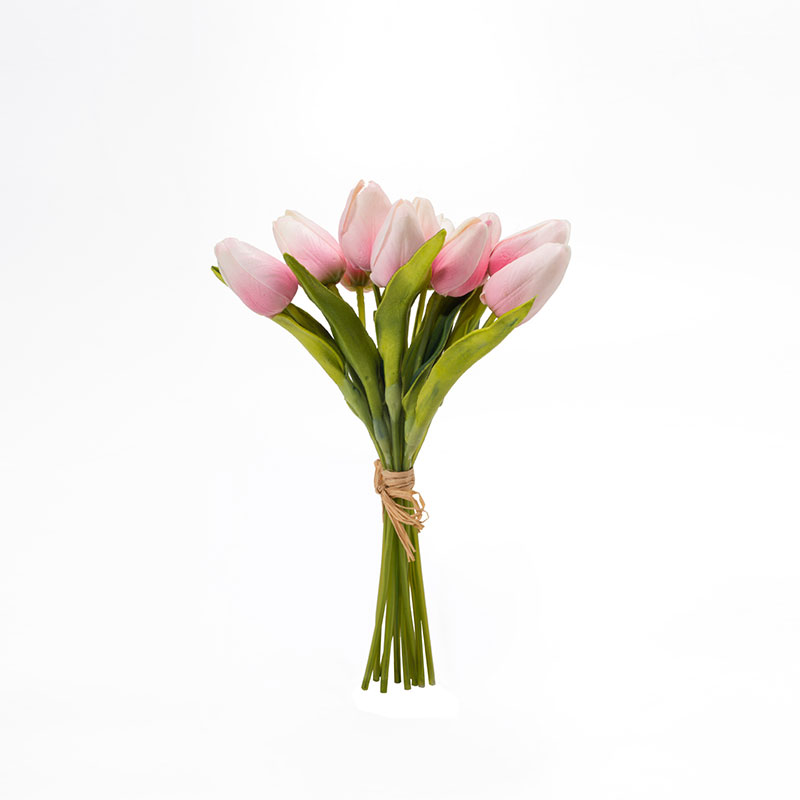 Hoa Tulip ( CH0656-P ) 321.000
